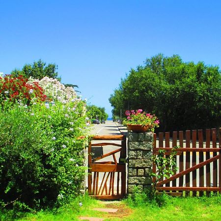 Phocea Bed & Breakfast San Teodoro  Eksteriør bilde